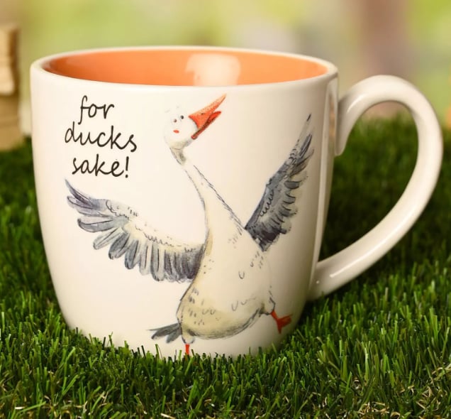The Funny Farm Mug - "For Ducks Sake!"