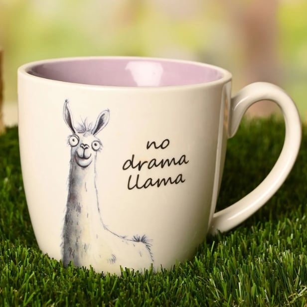 The Funny Farm Mug - "No Drama Llama"