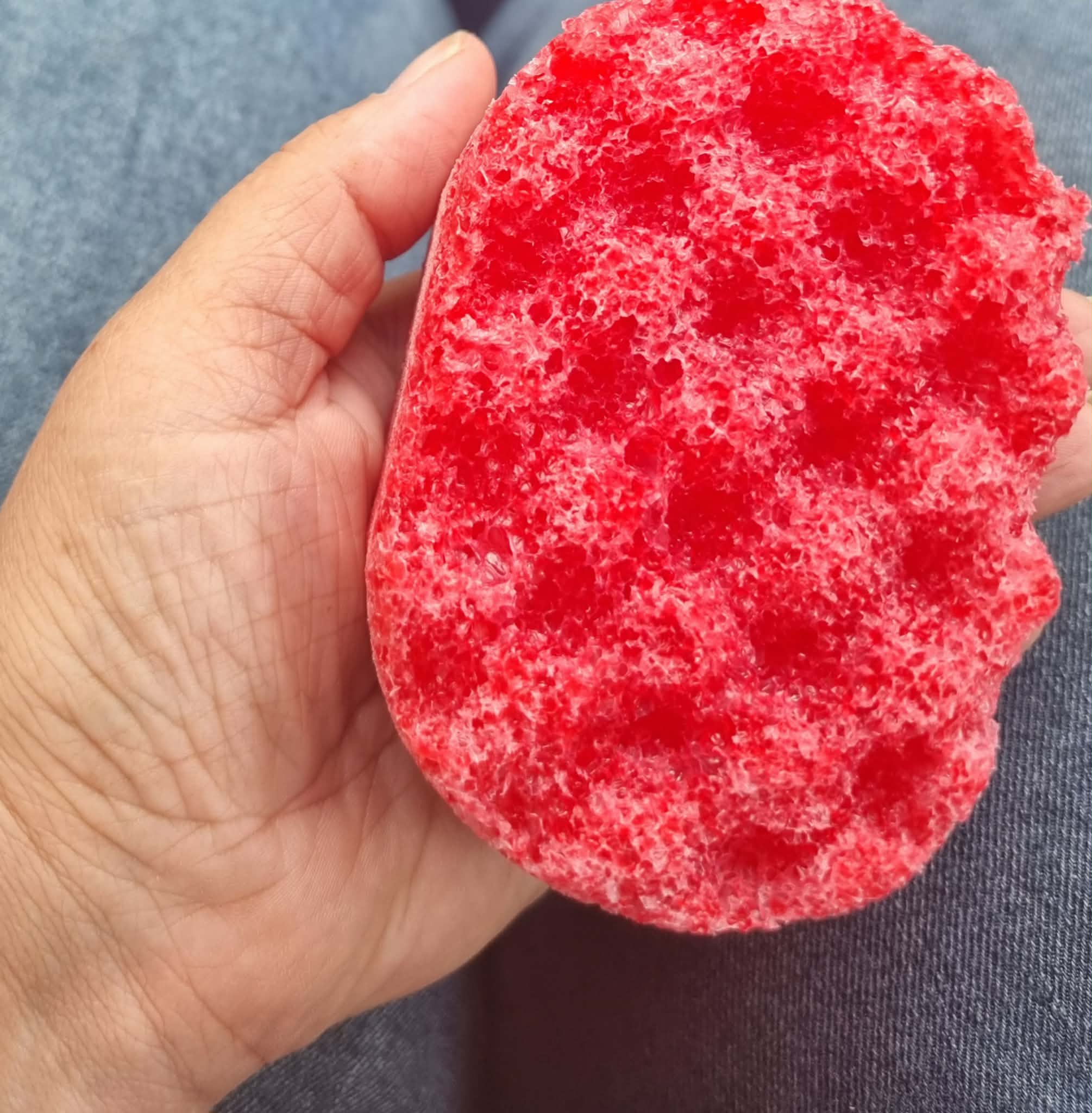 Mini Soap sponges x 6