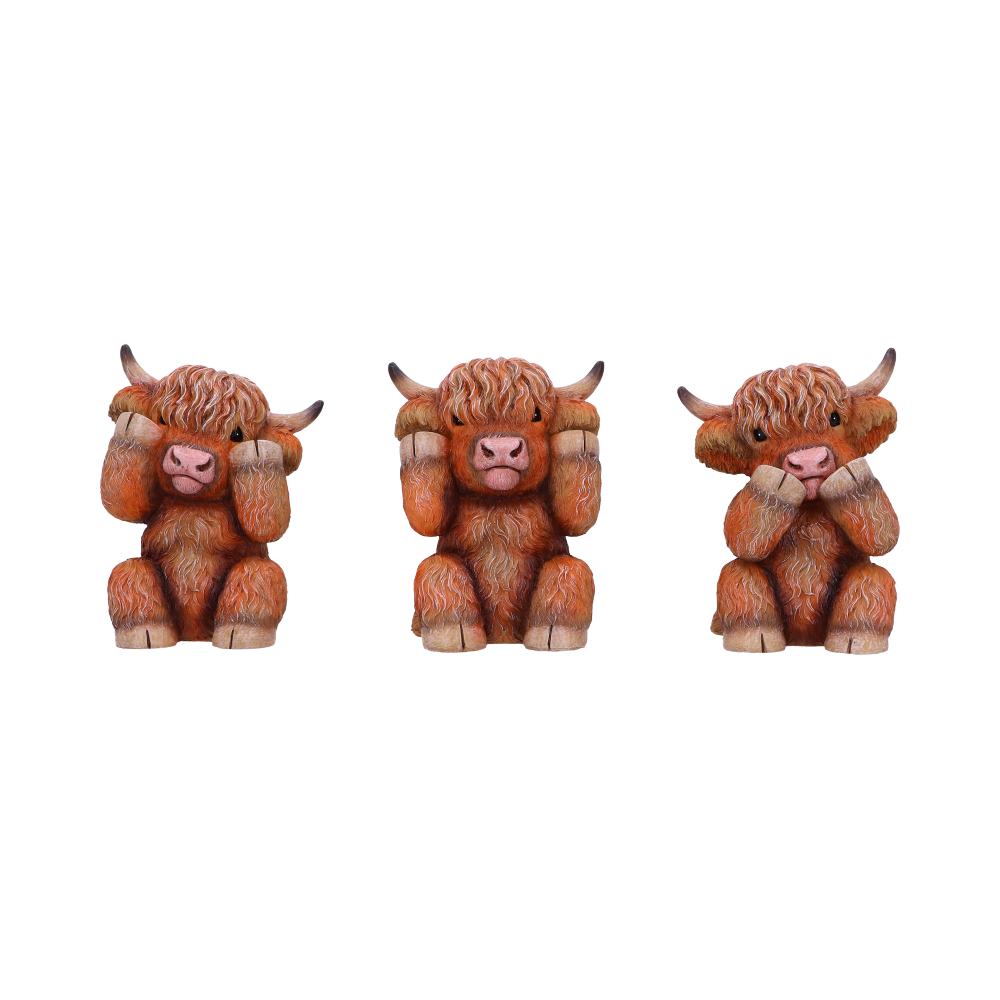Three Wise