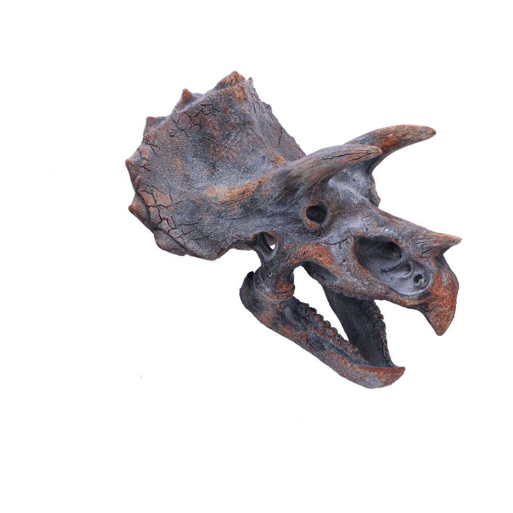 Dinosaurs