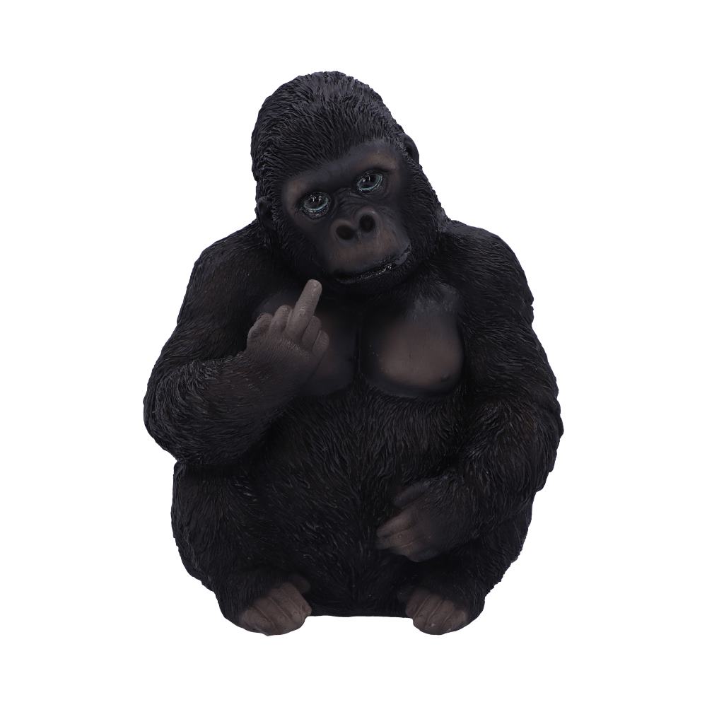 Apes & Primates